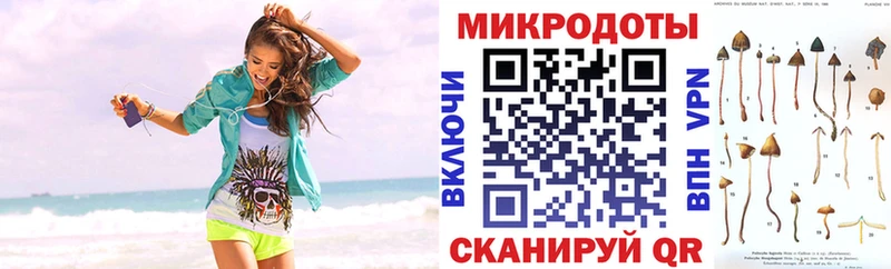 kraken маркетплейс Советск Галлюциногенные грибы MAGIC MUSHROOMS